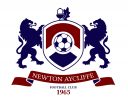 Newton Aycliffe logo